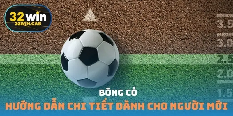 Bóng cỏ