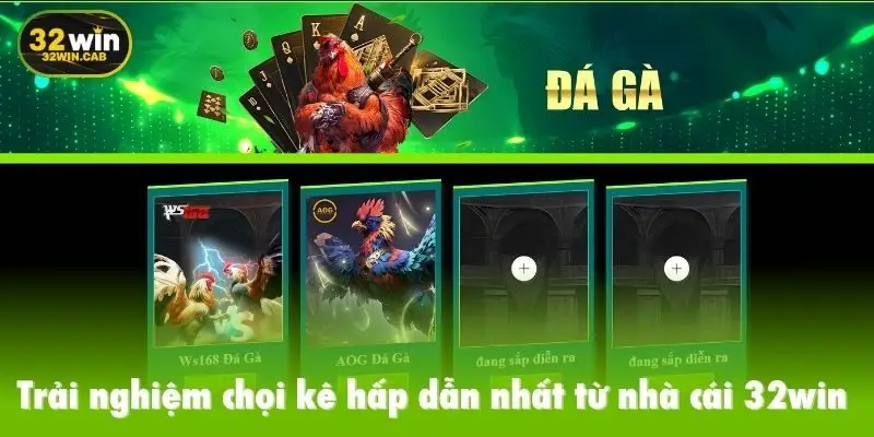 Trải nghiệm chọi kê hấp dẫn nhất từ nhà cái 32win