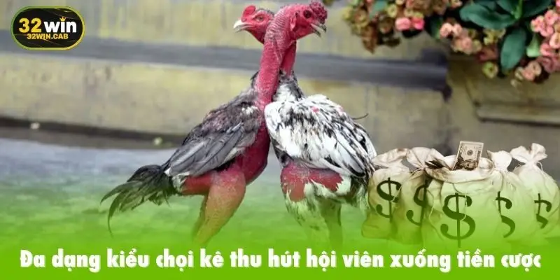 Đa dạng kiểu chọi kê thu hút hội viên xuống tiền cược