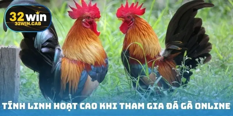 Tính linh hoạt cao khi tham gia đá gà online