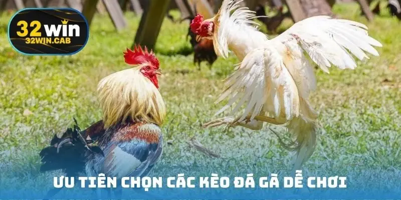 Ưu tiên chọn các kèo đá gà dễ chơi