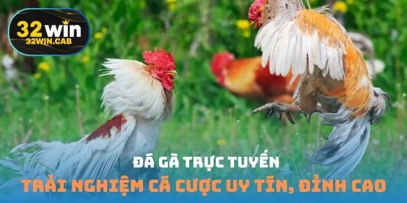 Đá gà trực tuyến