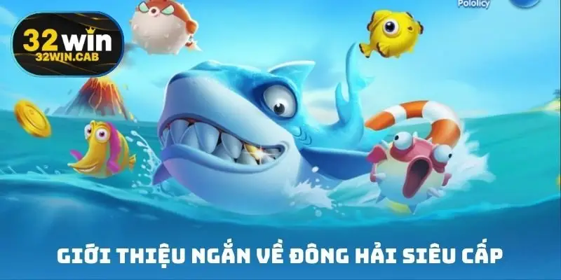 Giới thiệu ngắn về đông hải siêu cấp