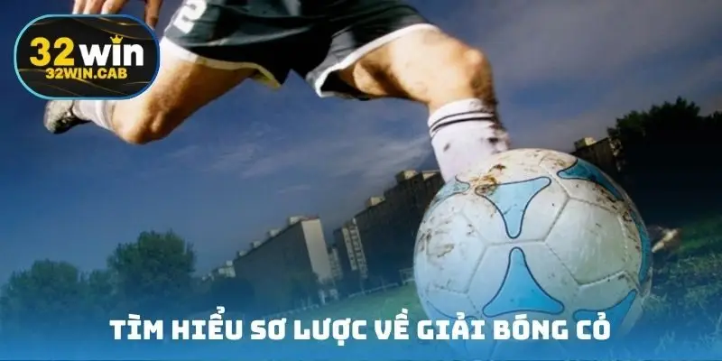 Tìm hiểu sơ lược về giải bóng cỏ